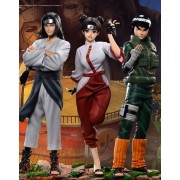 Team 3 ( Rock Lee , Tenten , Neji ) By GZ Studio