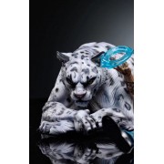 Leopard By BT Studio