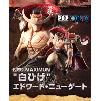 Edward Newgate ( Whitebeard )  POP MAXIMUM 