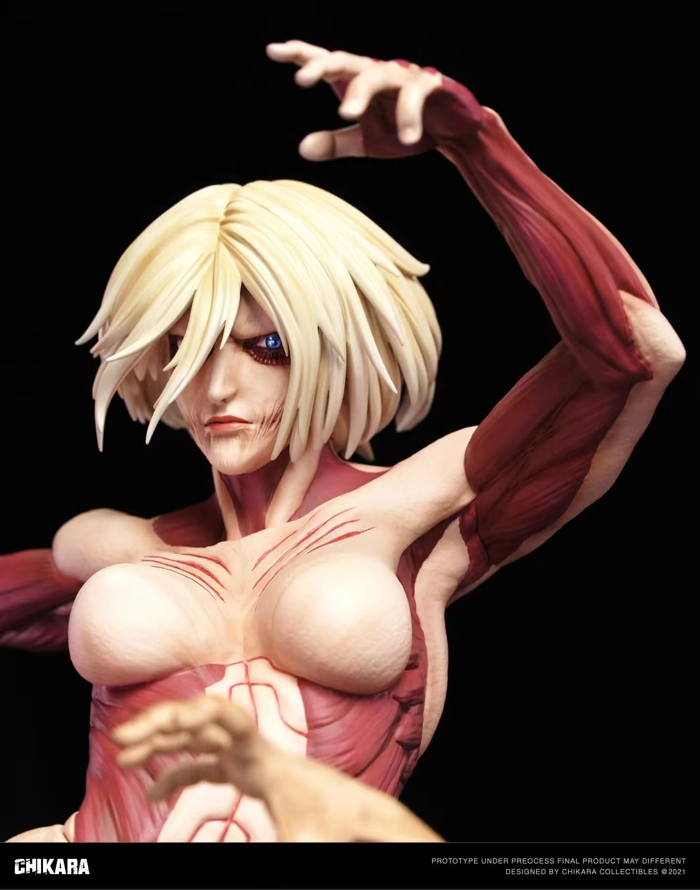 Chikara Studio Attack on Titan Annie Leonhart