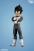 Figure Class - Vegeta Super Saiyan Blue