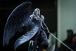 EKON STUDIO - Sephiroth 1/4 Resin Statue