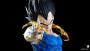 Vegeta by Last Sleep