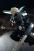 FFVII - Cloud Strife 1/6 Action Figure by GAMETOYS 