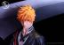 Kurosaki Ichigo By Fly Leaf Studios