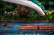 OPM STUDIO - Spirited Away : Bathhouse