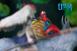 OPM STUDIO - Princess Mononoke