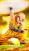 Krillin Destructo Disc By ShowTime Studio