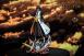 Soifon  By I.W x Niren Sudio