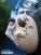 Neighbor Totoro By Chikara Studio