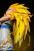 SSJ3 Gotenks By Clouds Studio