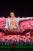 Doflamingo By New Century x Scorpio Studio
