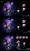 Gojo 200%  Hollow Purple  By Temple Knight STUDIO
