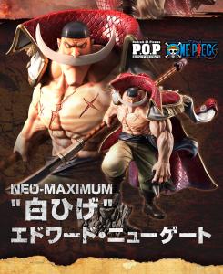 Edward Newgate ( Whitebeard )  POP MAXIMUM 
