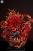 Itachi & Susanoo By Ten Years Studio