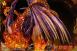 Fairy Tail : Natsu The Fire Dragon Slayer by Sakura Studio