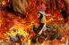 Fairy Tail : Natsu The Fire Dragon Slayer by Sakura Studio