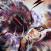 Accessories Vol.23 For POPMAX Luffy Gear 4 ver.2  by JacksDo Studio