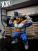 Great Ape Vegeta by XXL Studio