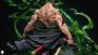 Supreme King Awakening Zoro by LAST SLEEP STUDIO