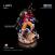 Luffy Onigashima BIJUtsu  by Tsume Art