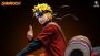 Naruto x Gamakichi By Nocturne x ICE Studios