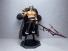 Rocks D. Xebec Rocks Pirates By Scorpion Studio