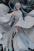 Wuthering Waves : Jinhsi & Jue By MYF Studio