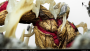 Reiner Armored Titan by K13 Studio