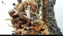 Reiner Armored Titan by K13 Studio