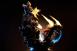 Goku vs Majin Vegeta By KD Collectible