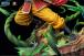 Usopp Onigashima Legendary Series by Jimei Palace
